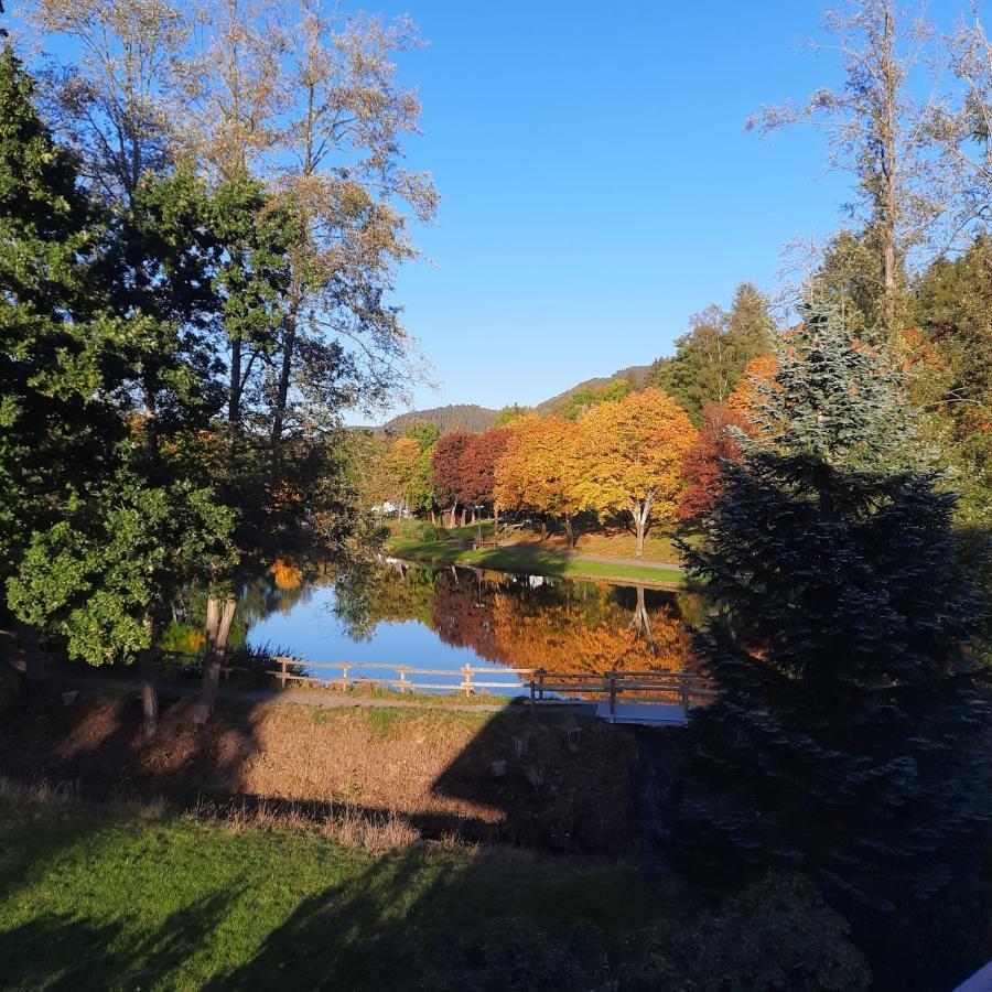 Haus Schmitten Winterberg Exteriör bild